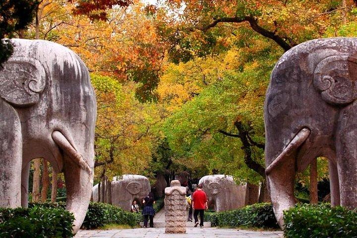 Private flexible Tagestour durch Nanjing mit alter und moderner Geschichte