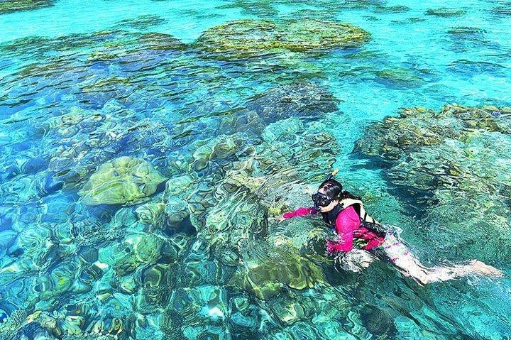 Surin Islands Snorkling Day Trip Af Love Andaman Fra Khao Lak