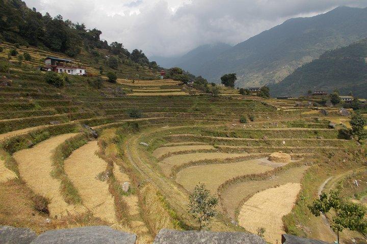 Erlebnisreise nach Nepal für Gap-Year- und Sabbatical-Reisende