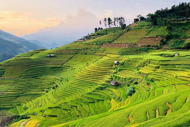 Scopri la bellezza di Sa Pa: Trekking di un giorno