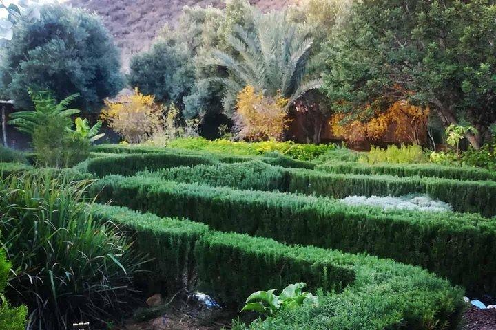 Agadir-dagtocht naar Paradise Valley