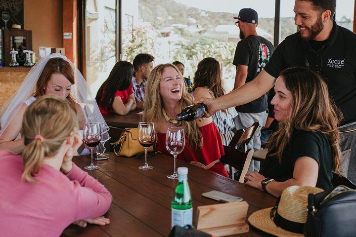 Xecue-wijnproeverij in Valle de Guadalupe