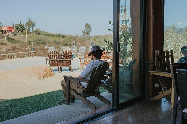 Xecue-wijnproeverij in Valle de Guadalupe