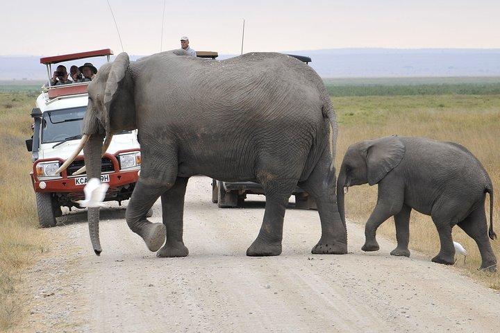 Getaway Amboseli di 2 giorni