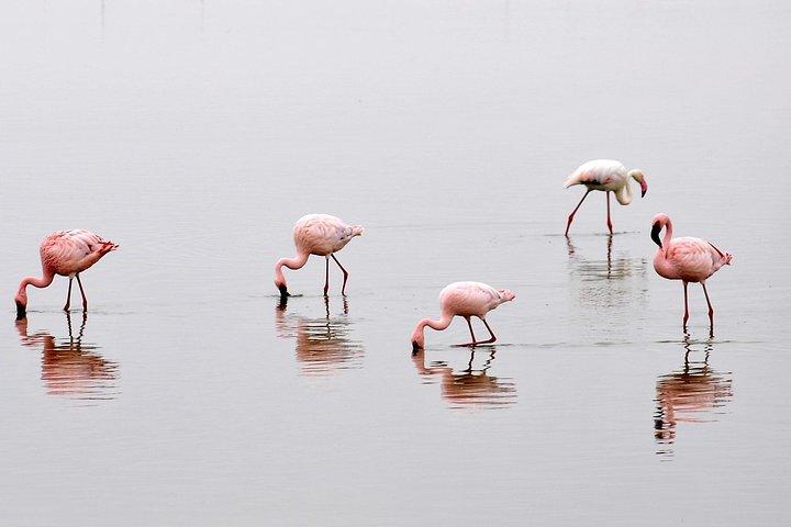 Getaway Amboseli di 2 giorni