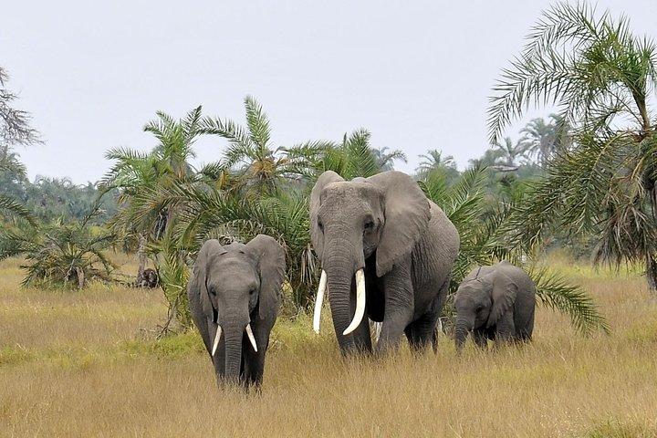 Getaway Amboseli di 2 giorni