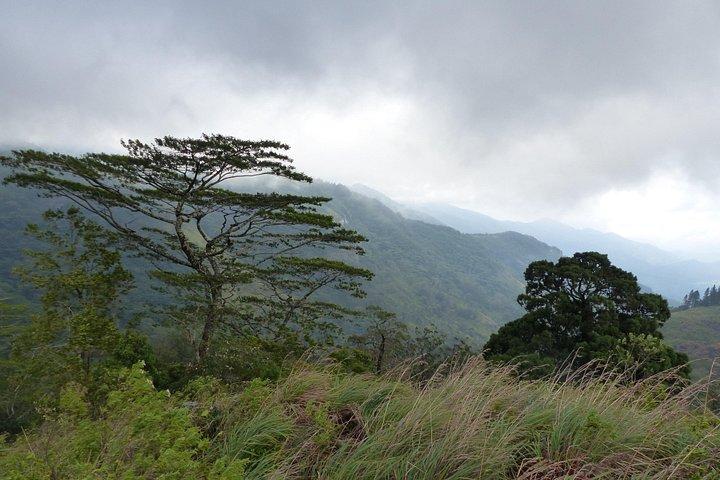 Knuckles Spice Trail Trek from Kandy