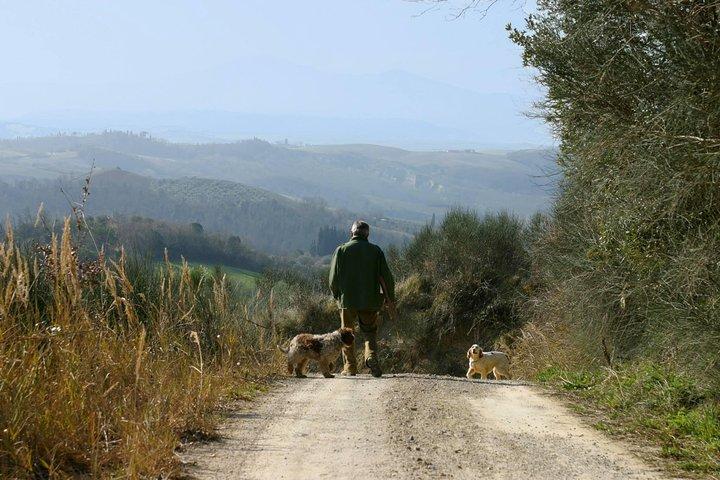 Heldig og tålmodighed: Truffle Hunt i Toscana