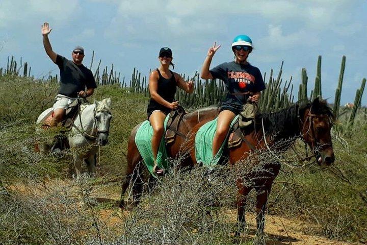Sunset Horseback ridning i Aruba