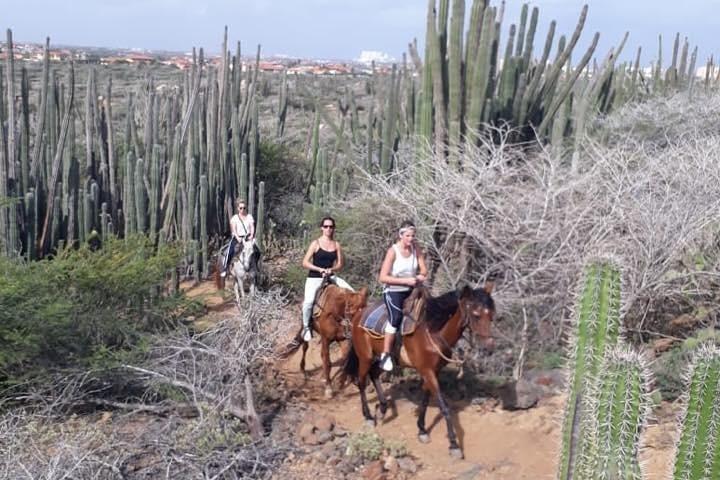 Balade à cheval au coucher du soleil à Aruba