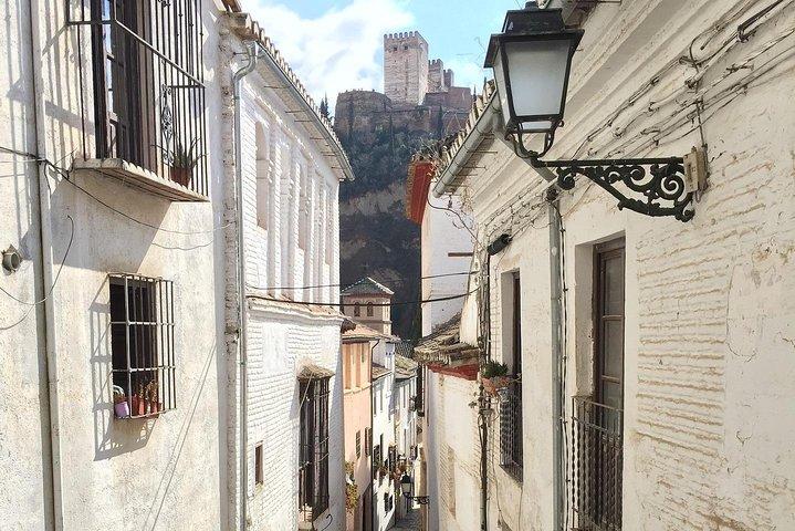 Alhambra and Albaycin Private Tour
