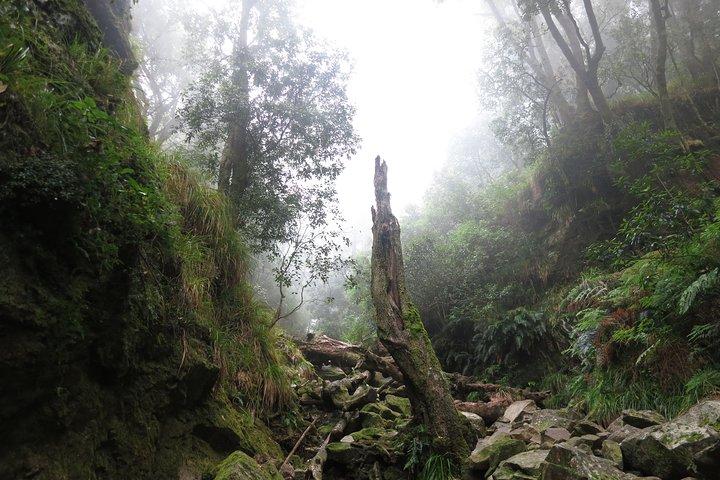 Skeleton Gorge naar de top van de Tafelberg