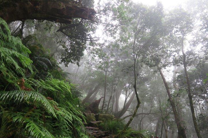Skeleton Gorge naar de top van de Tafelberg