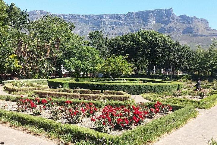 Visite de la ville du Cap : Billet Camps Bay Beach et Table Mountain