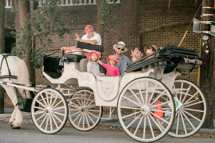Privétour overdag met paard en wagen door Charleston