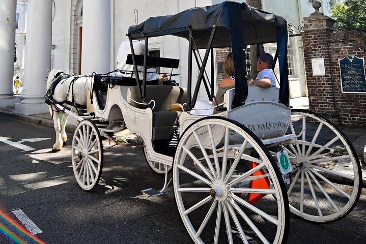 Privétour overdag met paard en wagen door Charleston