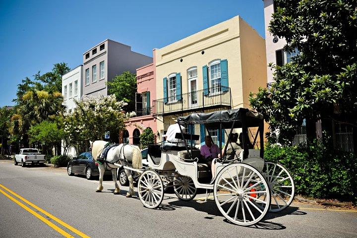 Private Tagestour mit Pferdekutsche durch Charleston
