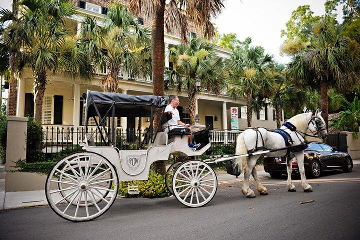 Privétour overdag met paard en wagen door Charleston