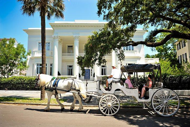 Privétour overdag met paard en wagen door Charleston
