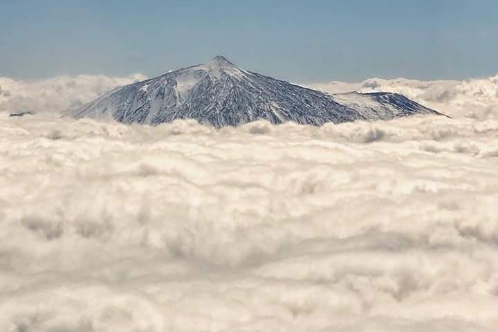 Teide Half Day National Park Bus Tour