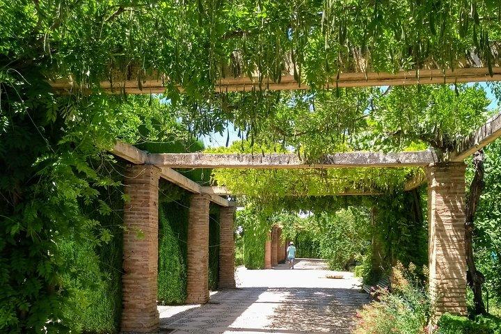 Visita la Alhambra y el Generalife. Tour privado