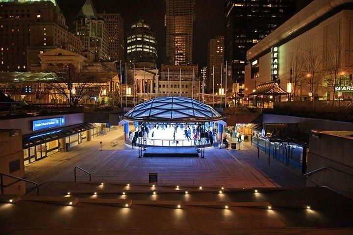 Flyover Canadaおよびバンクーバー展望台とのプライベートバンクーバーシティツアー
