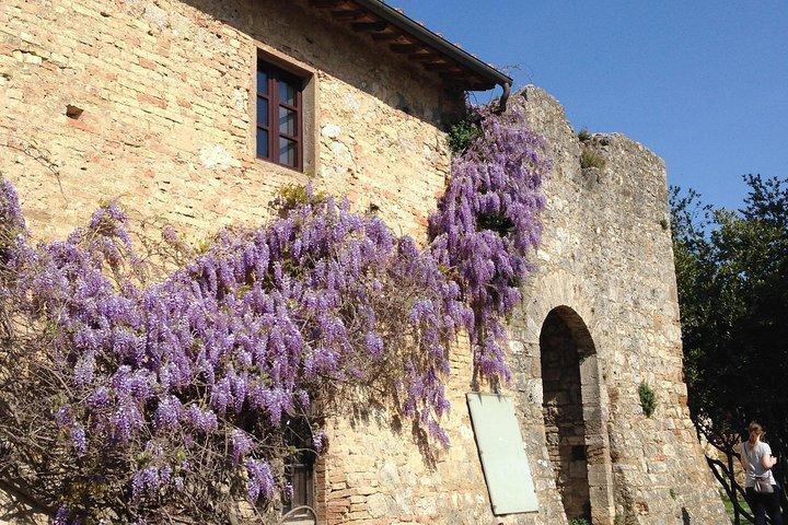 Visite privée exclusive à Sienne et San Gimignano
