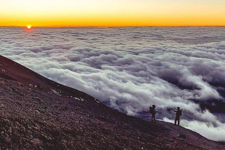 Kilimanjaro Mandara Hut Caminata de un día y masaje a pie después de la caminata
