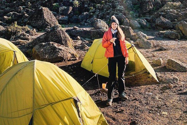 Kilimanjaro Mandara Hut Caminata de un día y masaje a pie después de la caminata