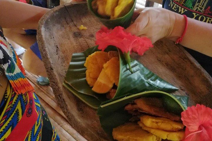 Private Embera Village Eco-Culturele Tour, jungle-waterval en wandelen in de natuur