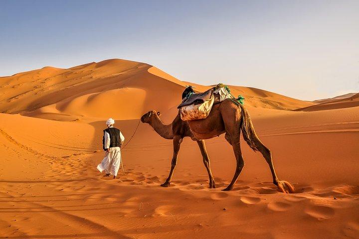 Tour di gruppo di 3 giorni da Marrakech al deserto del Sahara