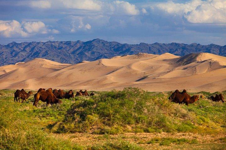 Tour della Mongolia di 16 giorni - dal deserto del Gobi alla steppa e alla cultura