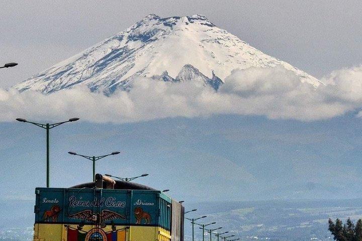 Excursie naar het Cotopaxi National Park en de Limpiopungo-lagune