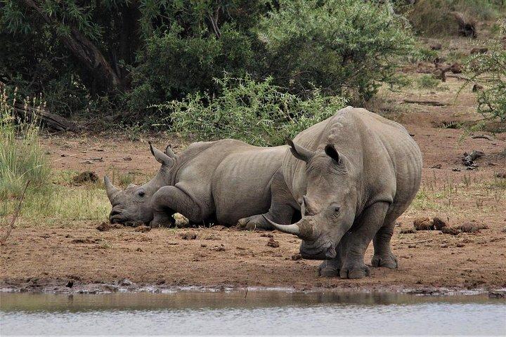 04 Nächte 05 Tage Nakuru Masaai Mara Safari