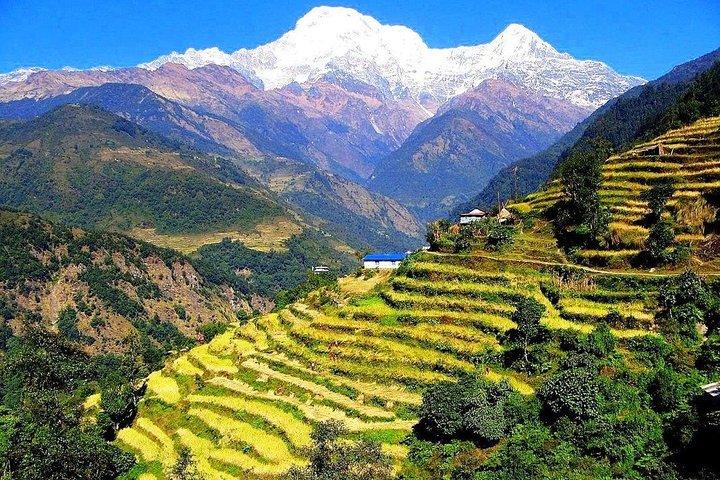 カトマンズからの7日間のGhorepani Poonhill Ghandruk Trek