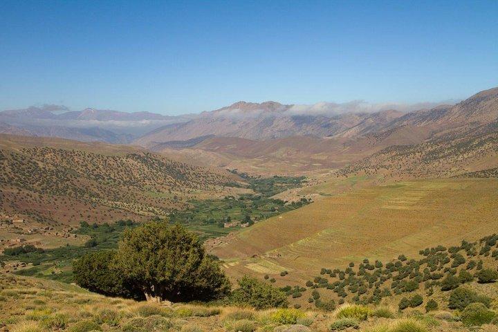 Guidet tur | Atlas trekkingtur: 4068 m (7 dage)