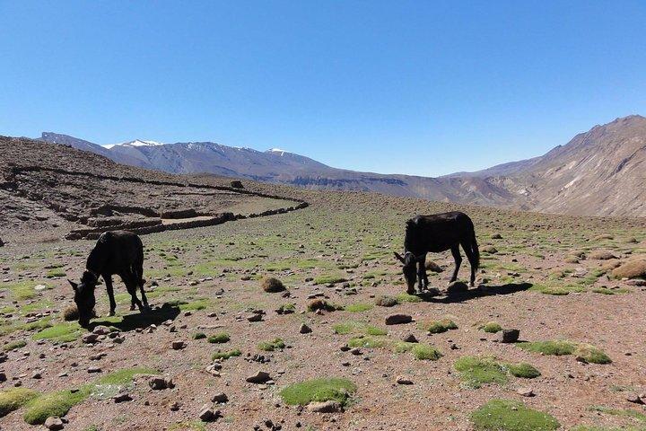 Guidet tur | Atlas trekkingtur: 4068 m (7 dage)