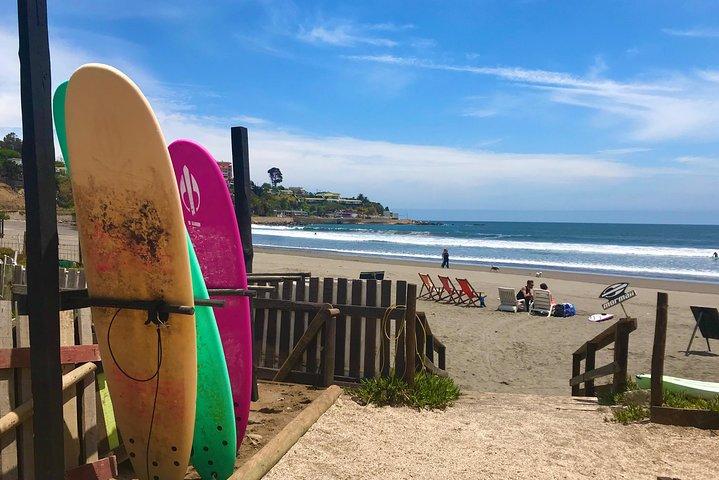 Surf, sandboarding e leoni marini selvaggi + bevande e cibo cileni