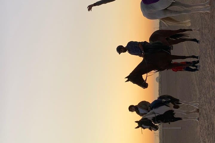 Desert Horse Riding Experience in Dubai