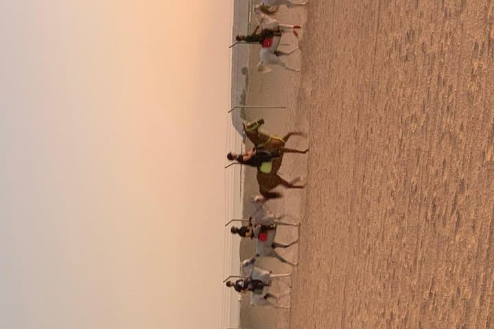 Desert Horse Riding Experience in Dubai
