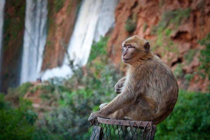 Private Full-Day Trip from Marrakech to Ouzoud Waterfalls