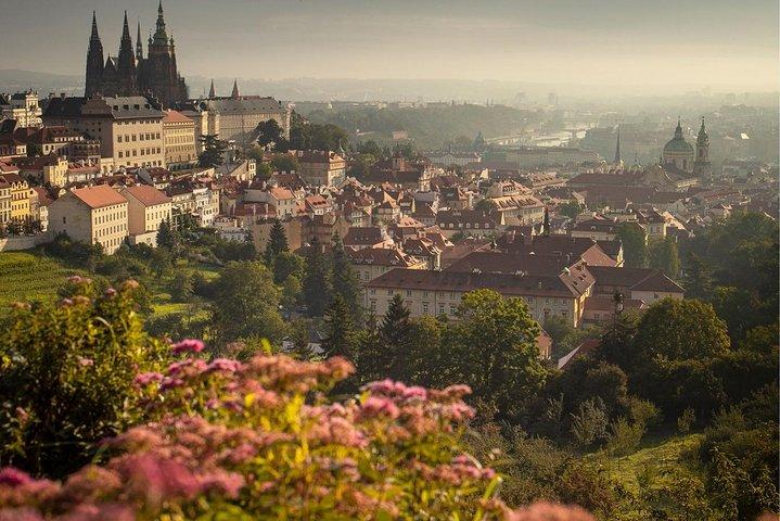 VIP Tour Privado Praga: O melhor de Praga