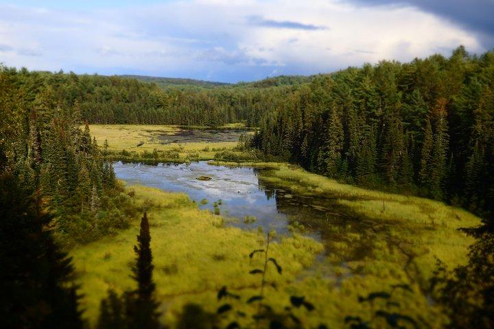 Algonquin Group Camping Adventure (3 dias)