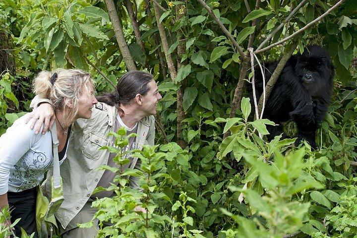 東アフリカアドベンチャーサファリを組み合わせた20日間