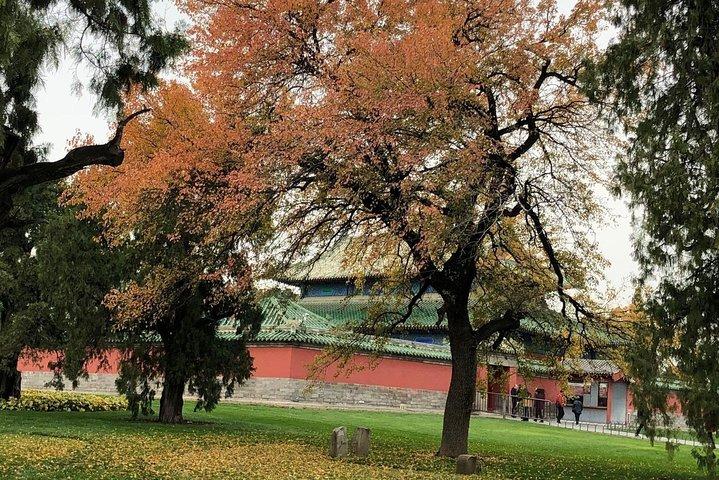 Den forbudte by og Temple of Heaven-turen fra Beijing Capital Airport