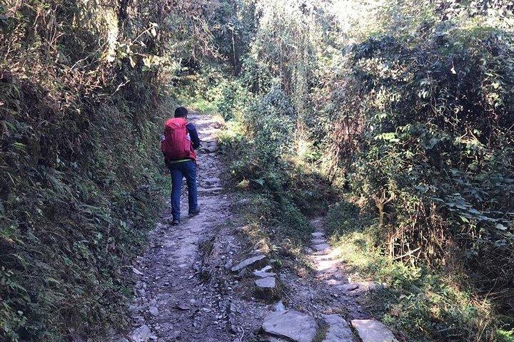 Australisches Camp Wandern