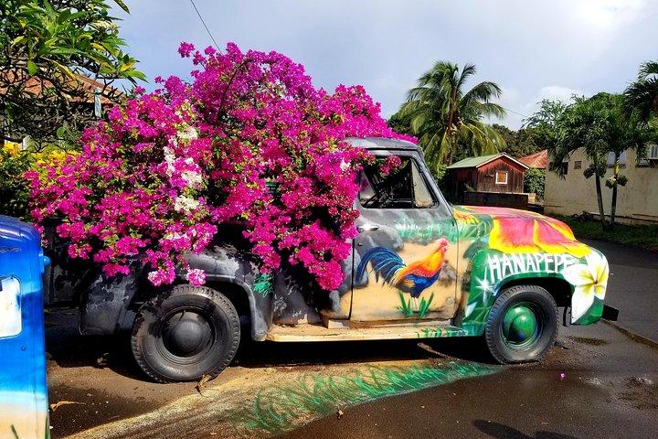 Private Waimea Canyon Tour