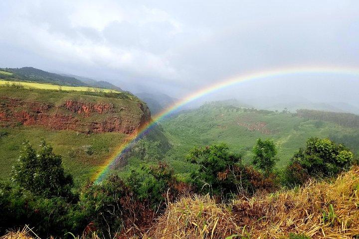 Private Waimea Canyon Tour