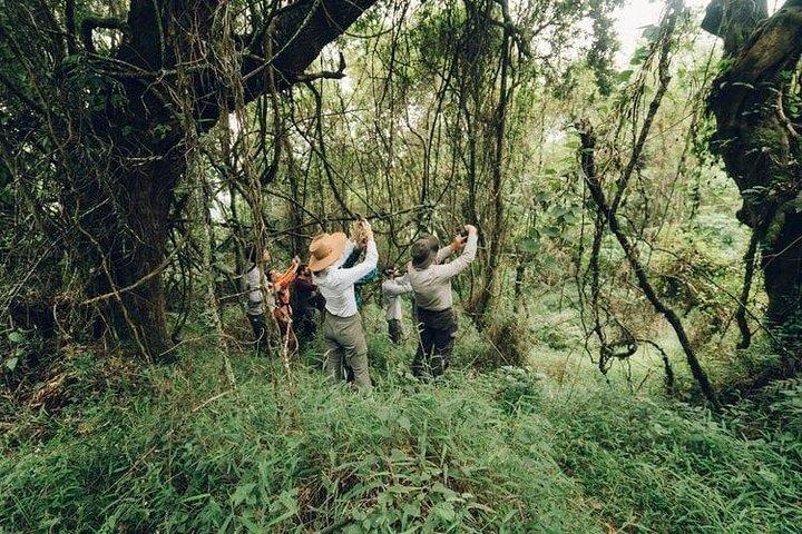 3-tägige Chitwan-Nationalpark-Tour ab Kathmandu mit dem Privatfahrzeug