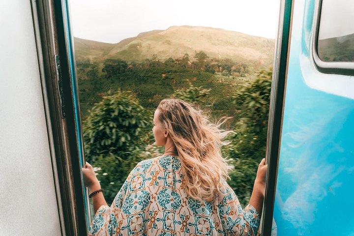 Tour di un giorno a Horton Plains con breve viaggio in treno da Ella